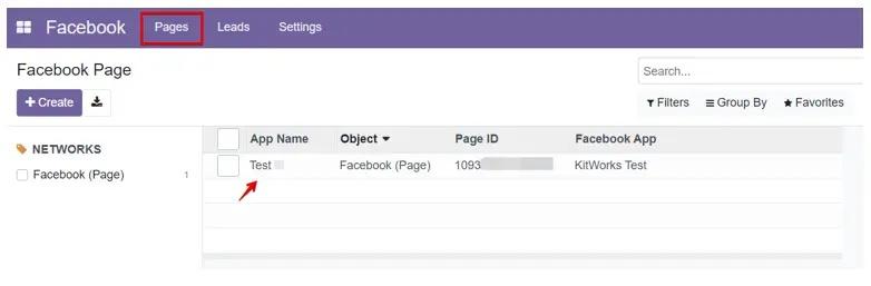 Select an existing Facebook page in Odoo, Unitsoft